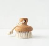 Face Brush