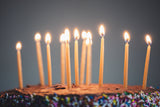 11 thin beeswax birthday candles light up a chocolate birthday cake