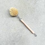 Dish Brush and Replacement heads