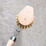 Dish Brush and Replacement heads