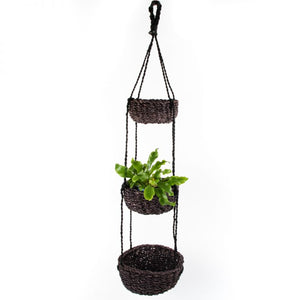 hanging baskets hogla leaf