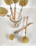 Dish Brush and Replacement heads